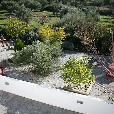 Villa The Olive Branch *