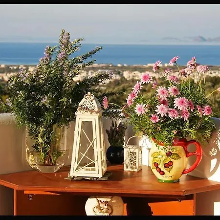The Olive Branch Villa Agios Dimitrios (Kos)